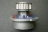 AKS DASIS 781160N Water Pump